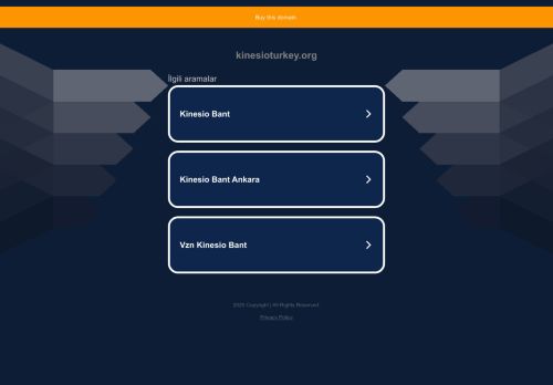 kinesioturkey.org