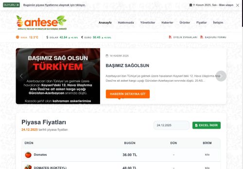 ANTESE - Antalya Tüccar Ve Esnaflar Dayanışma Derneği
