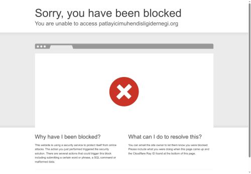 Patlayıcı Mühendisliği Derneği