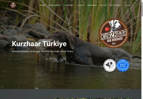 Deutsch Kurzhaar Türkiye – Deutsch Kurzhaar Irk Derneği