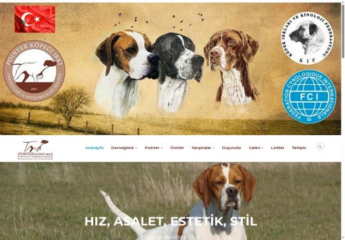 Pointer Türkiye Club