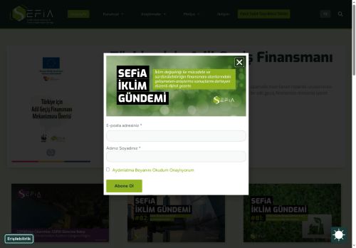 Sürdürülebilir Ekonomi ve Finans Araştırmaları Derneği