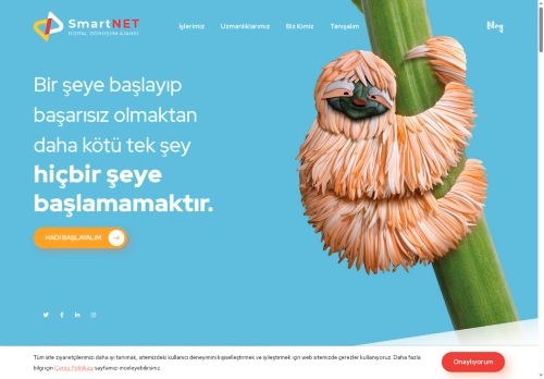 SmartNET - Dijital Dönüşüm Ajansı