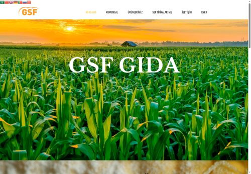 GSF Gıda Sanayi Fab Üretim San ve Tic AŞ