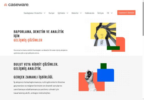 Caseware Turkey - IDEA