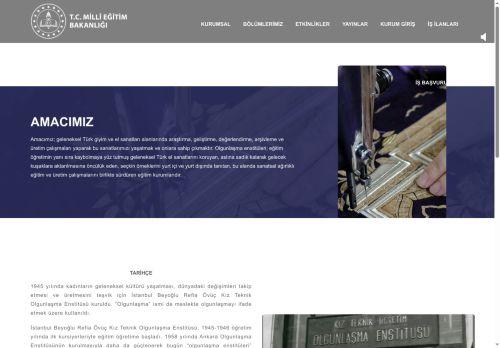 Olgunlaşma Enstitüsü