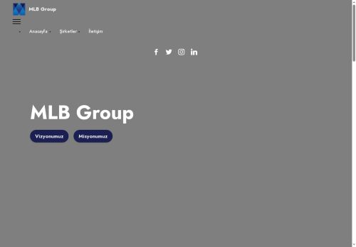 MLB Group