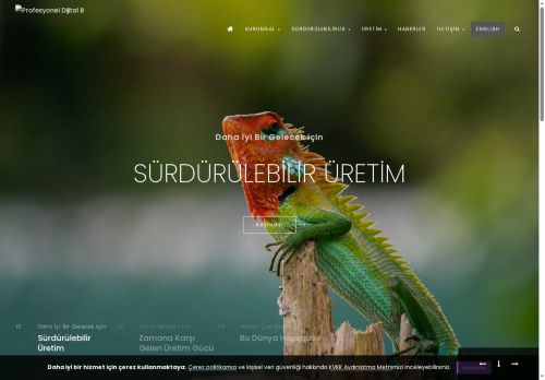 Profesyonel Dijital Baskı Hizmetleri | Çahan Dijital