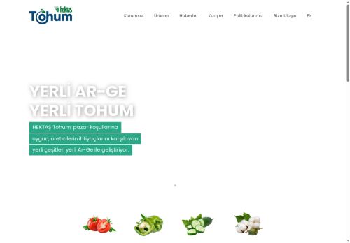 HEKTAŞ TOHUM | HEKTAŞ