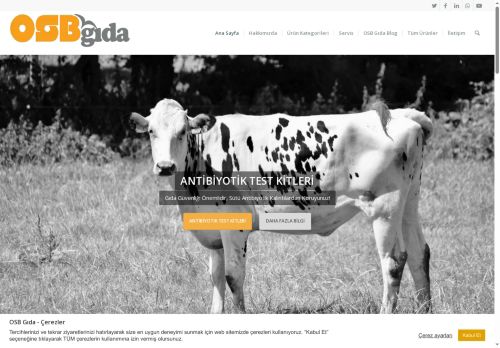OSB Gıda - Ana Sayfa