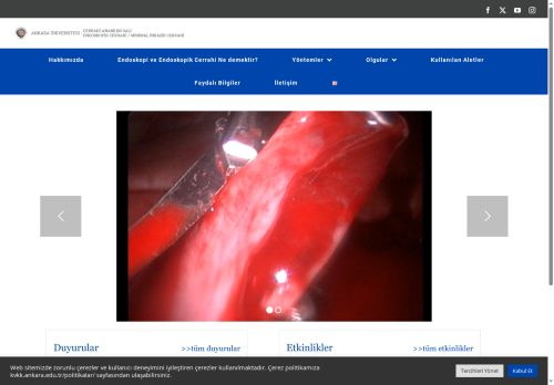 Cerrahi Anabilim Dalı Endoskopik Cerrahi – Veterinerlik Fakültesi