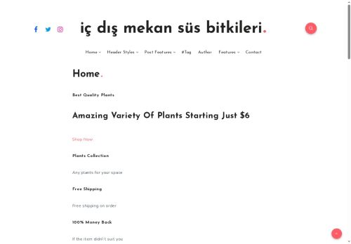 iç dış mekan süs bitkileri