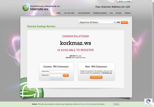 WEBSITE.WS - Your Internet Address For Life™ Önizlemesi