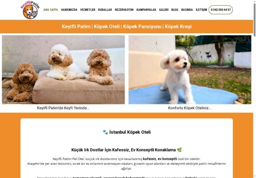 Keyifli Patim | Köpek Oteli | Köpek Pansiyonu | Pet Otel