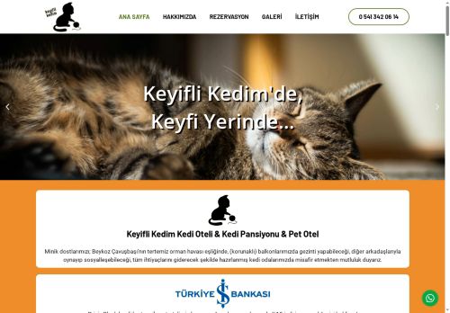 Keyifli Kedim | Kedi Oteli | Kedi Pansiyonu | Pet Otel