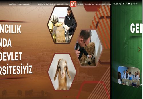 Ana Sayfa
 | Muş Alparslan Üniversitesi