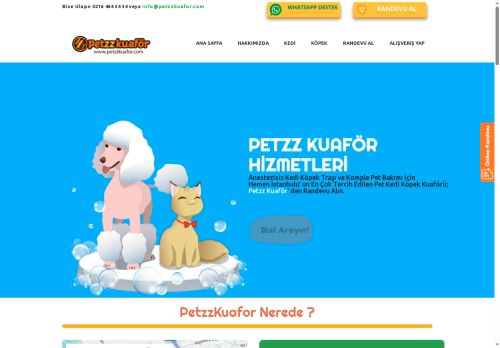 Petzz Pet Kuaför | Butik Kedi & Köpek Kuaförü | Anestezisiz Traş