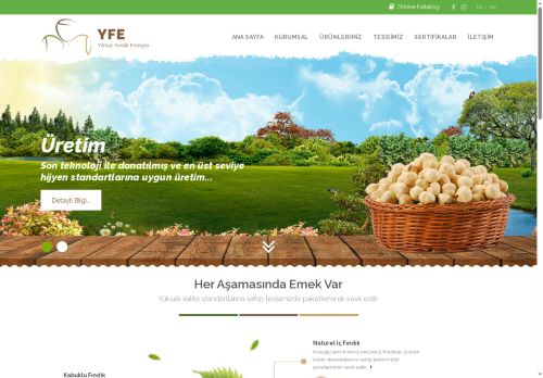 Yfe - Yılmaz Fındık Entegre