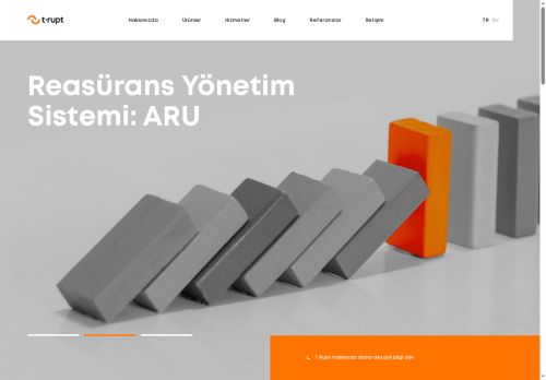 T-Rupt Teknoloji - Sigorta ve Reasürans Modelleme Çözümleri