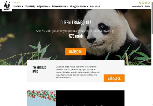 DENİZ KAPLUMBAĞASI