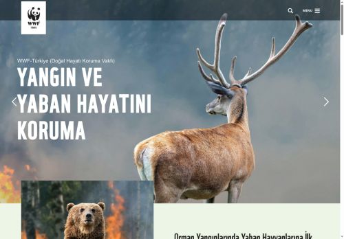 Orman Yangınlarında Yaban Hayvanlarına İlk Yardım