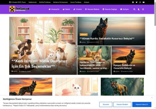 PetSosyal - Evcil Hayvan Bilgi Paylaşım Blogu