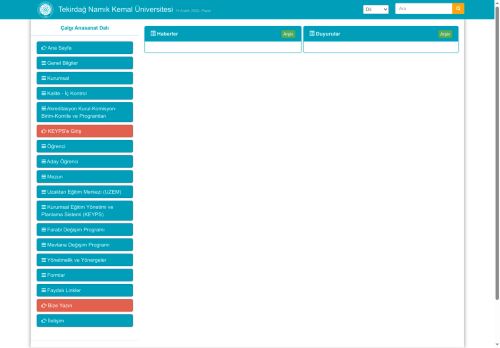 Çalgı Anasanat Dalı