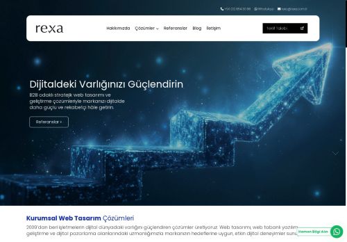Web Tasarım Ajansı | Rexa Bilişim ®