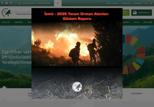 EGE ORMAN VAKFI | Online fidan bağışı, ağaç, fidan, koru ve orman, ağaçlandırma projeleri, karbonmetre