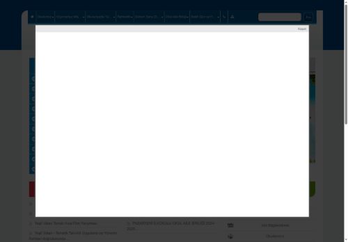 BİLECİK / PAZARYERİ - Pazaryeri İlkokulu
