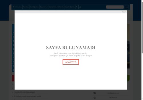 BİNGÖL / GENÇ - Mevlana Ortaokulu