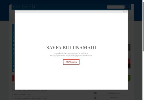 BİNGÖL / MERKEZ - Göltepesi Yeni Yerleşim İlkokulu