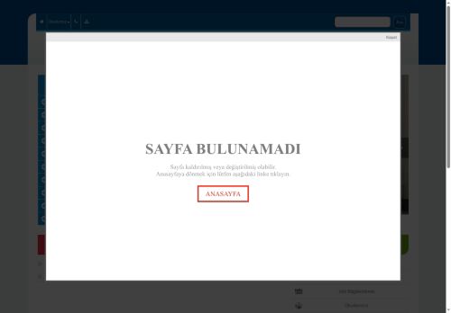 BİNGÖL / MERKEZ - Yelesen İlkokulu