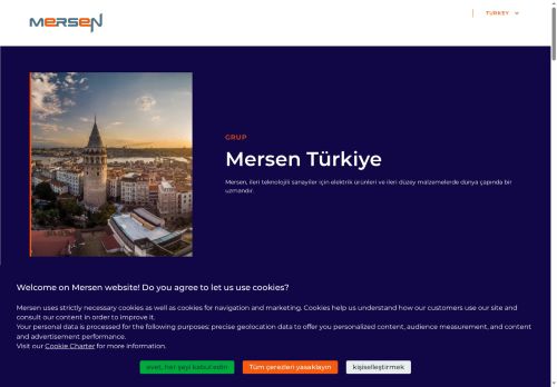 Mersen, Global expert in electrical power and advanced materials