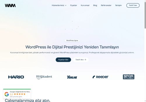 WordPress Web Sitesi Tasarım ve Geliştirme Ajansı