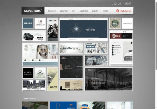 SilverturkÂ® İnternet Teknolojileri - eticaret sistemleri - web yazılım - web tasarım - istanbul - adana