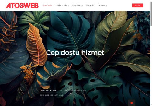 Atosweb - Atosweb İnternet Hizmetleri