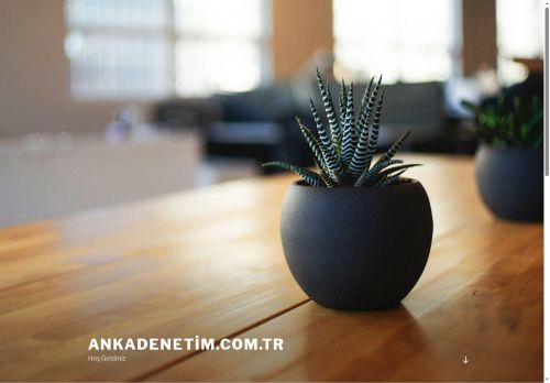 ankadenetim.com.tr – Hoş Geldiniz