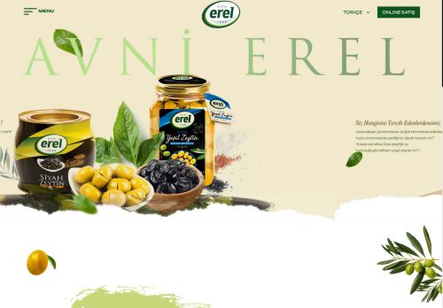 Kavanoz, Teneke, Pet, Vakum Zeytinler - Avni Erel