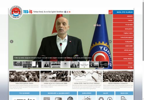 Tes-is.org.tr