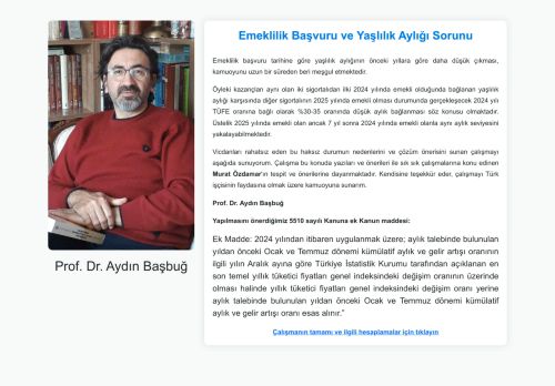 Prof. Dr. Aydın Başbuğ - Çalışma Hayatı
