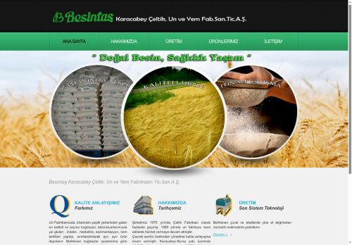 BESİNTAŞ ÇELTİK, UN ve YEM FABRİKALARI TİC.ve SAN.A.Ş.