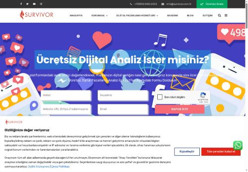 Web Tasarım Ajansı | Survivor Dijital