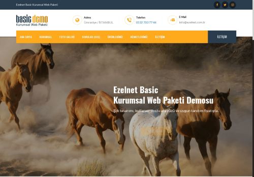 Ezelnet Basic Kurumsal Web Paketi