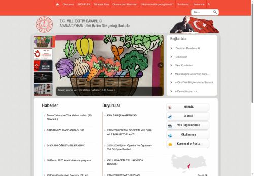 ADANA / CEYHAN - Ülkü Halim Gökçedağ İlkokulu