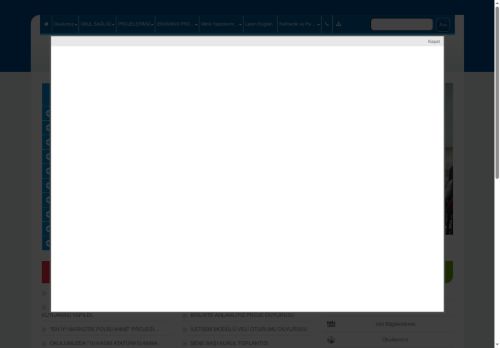 ADANA / ÇUKUROVA - Yunus Emre İlkokulu