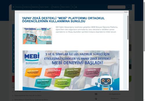 AFYONKARAHİSAR / EMİRDAĞ - Adayazı Ortaokulu