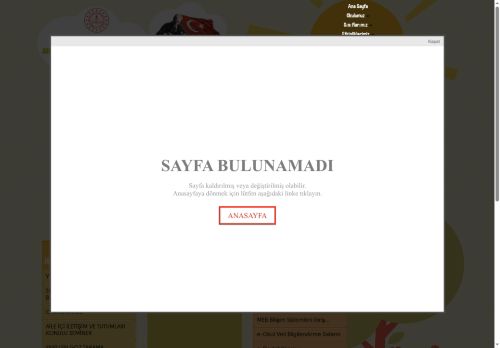 BALIKESİR / GÖMEÇ - AHMET TULUN HİMAM İLKOKULU