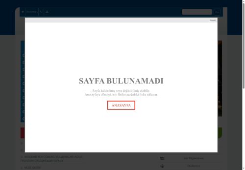 BATMAN / MERKEZ - Bayraklı İlkokulu