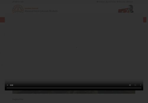 BATMAN / KOZLUK - Mareşal Fevzi Çakmak İlkokulu